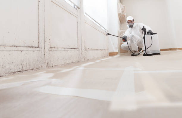 24/7 Emergency Mold Remediation experts in Revere, MA