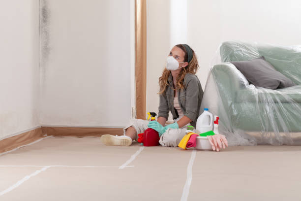 Reliable Mold Remediation contractor in Revere, MA by 24 Hour Mold Removal